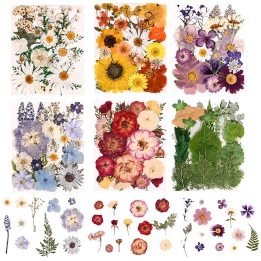 6 Pack 150PCS Real Pressed Dri - огляд і ціна Resin Jewelry Kit