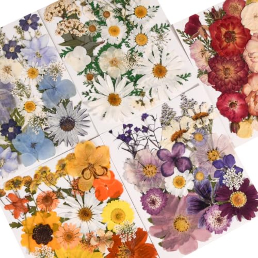 6 Pack 150PCS Real Pressed Dri - огляд і ціна Resin Jewelry Kit