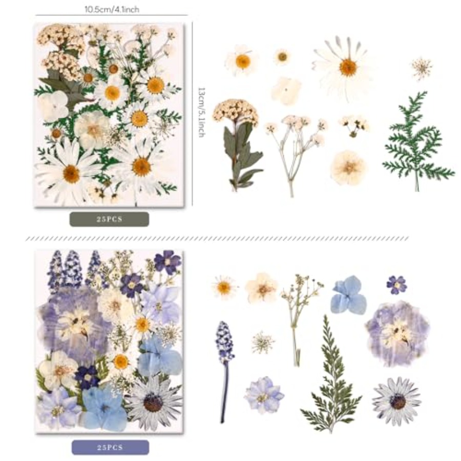 6 Pack 150PCS Real Pressed Dri - огляд і ціна Resin Jewelry Kit