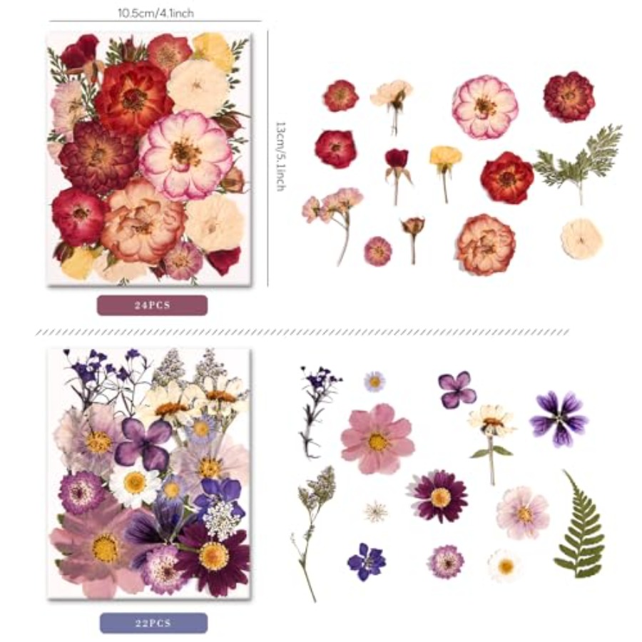 6 Pack 150PCS Real Pressed Dri - огляд і ціна Resin Jewelry Kit
