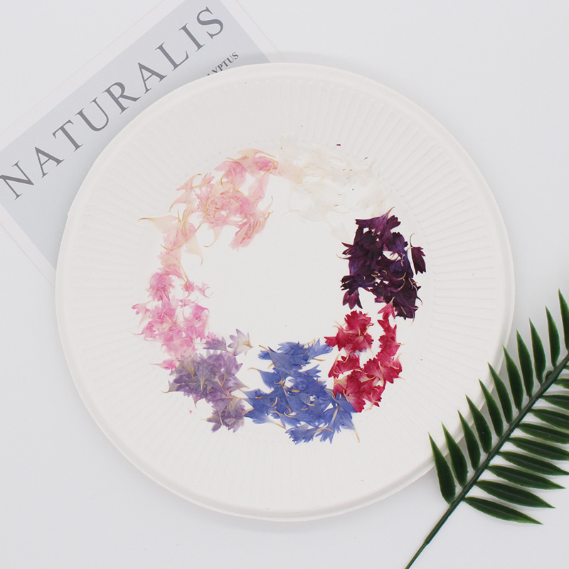 20 Plant Specimens, Cornflower - огляд і ціна Resin Jewelry Kit